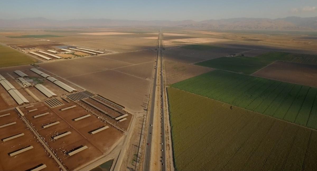 'Pistachio Wars' Uncovers Agriculture Corruption on Digital, VOD Oct. 7