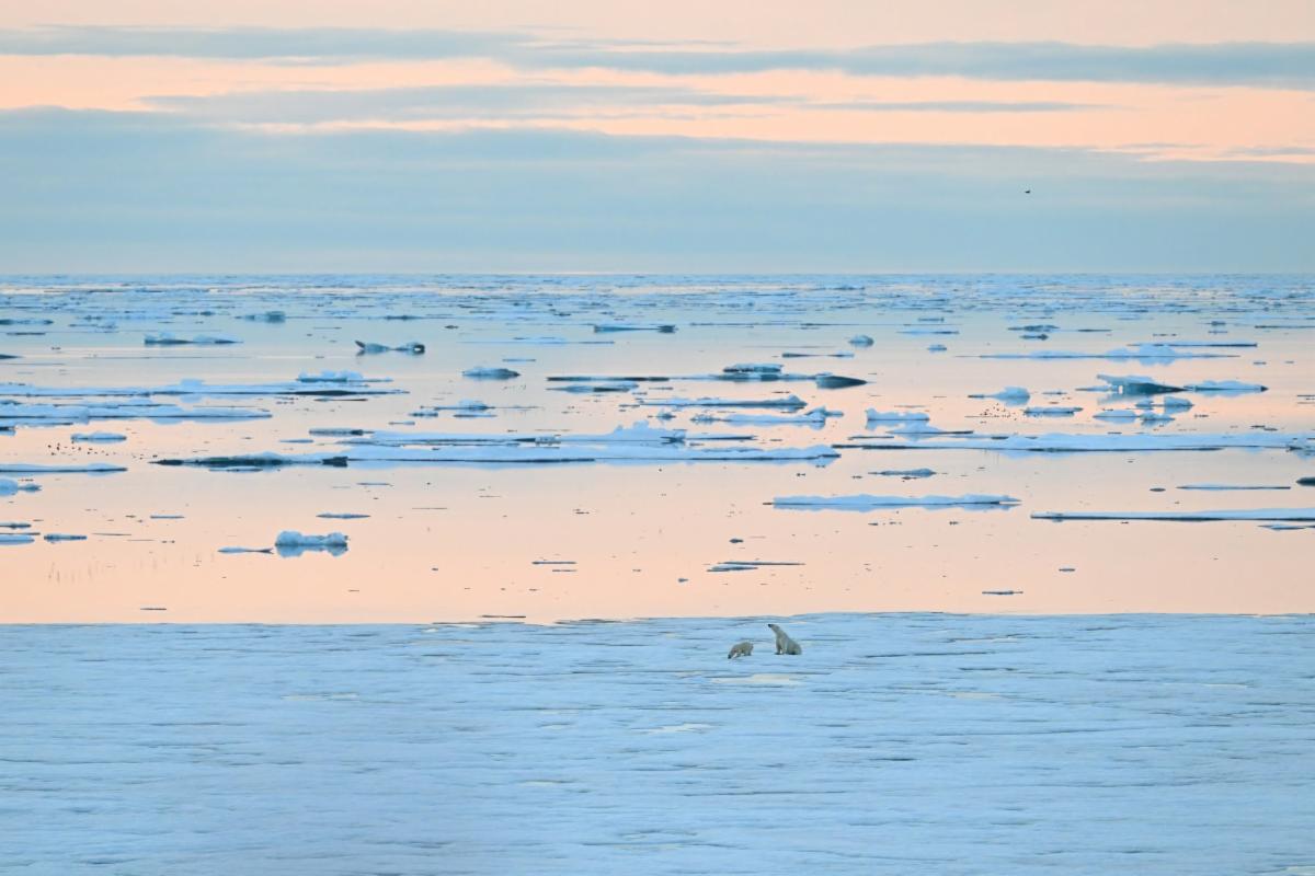 An idyllic ice and water scene