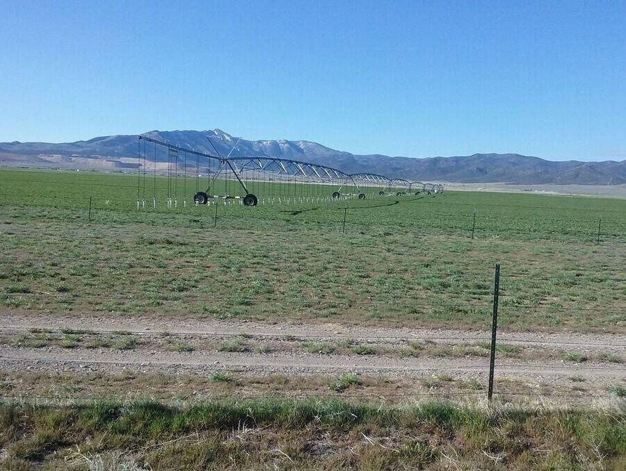 A farm with an overhead irrigation system.