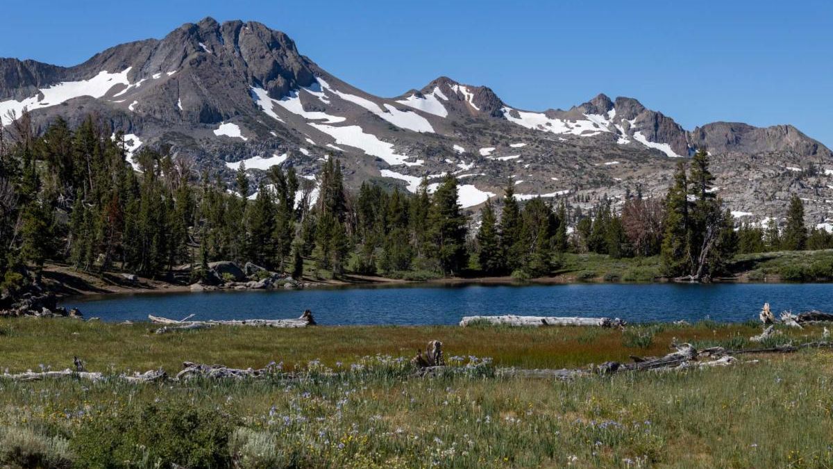 A tree-ringed alpine lake under snow-covered Sierra Nevada mountain peaks.