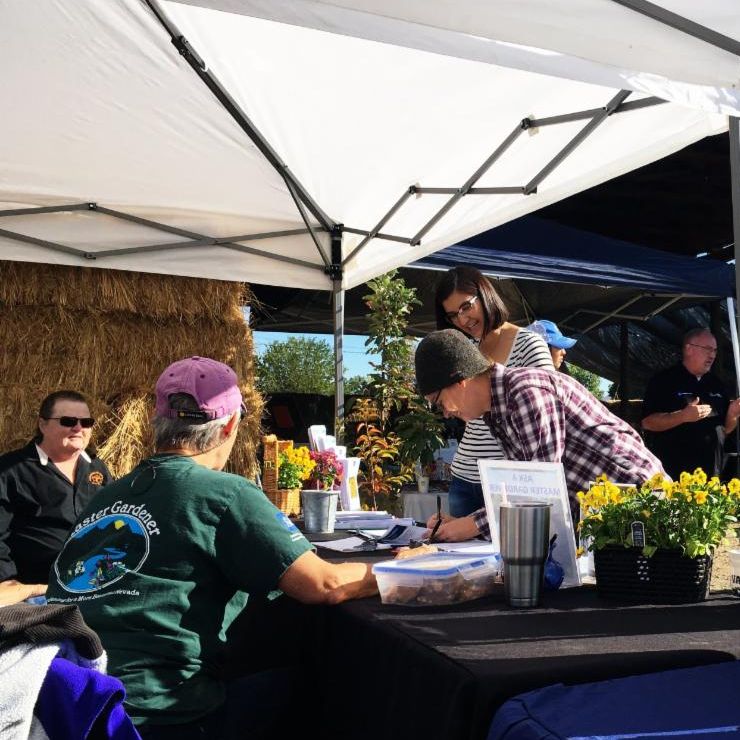 Master Gardener Volunteers offering gardening advice and training info to Field Day visitors.