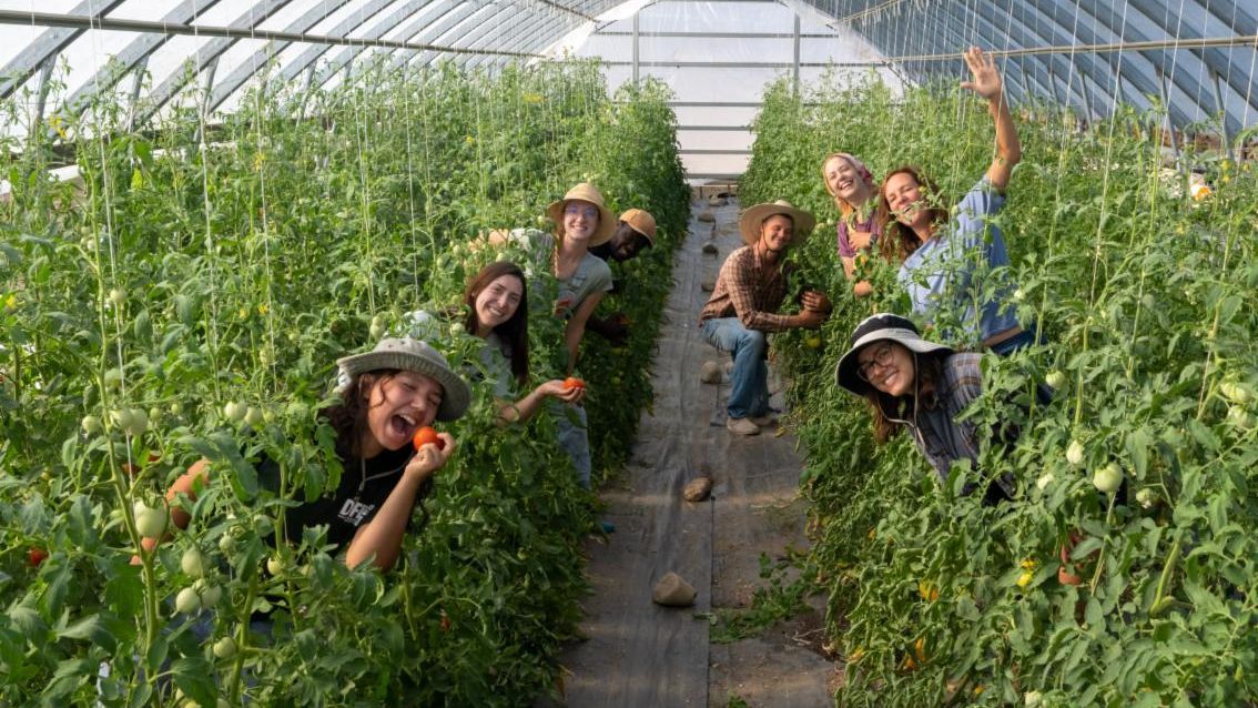 Desert Farming Initiative staff among produce in a greenhouse. One person is pretending to bite into a big, juicy tomato.