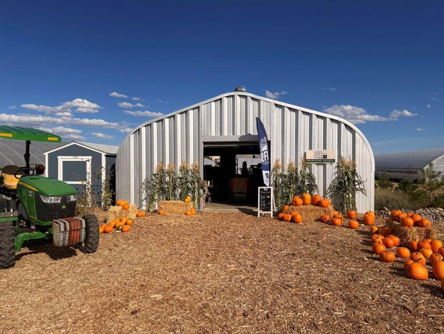 Bright orange pumpkins and green John Deere tractor on the College's University farm.