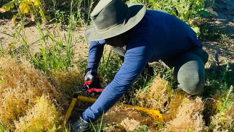 A crouching man in a hat placing yellow beams in a square on the ground.