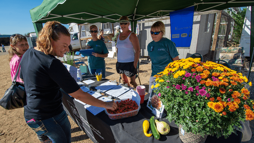 Master Gardeners hosting a booth at Field Day.