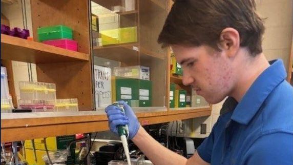 A man in a blue shirt and gloves dropping liquid in a test tube using a dropper.