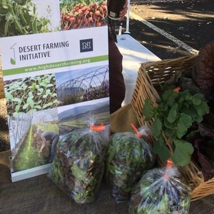 Desert Farming Initiative farm stand, featuring bags of fresh, leafy green produce.