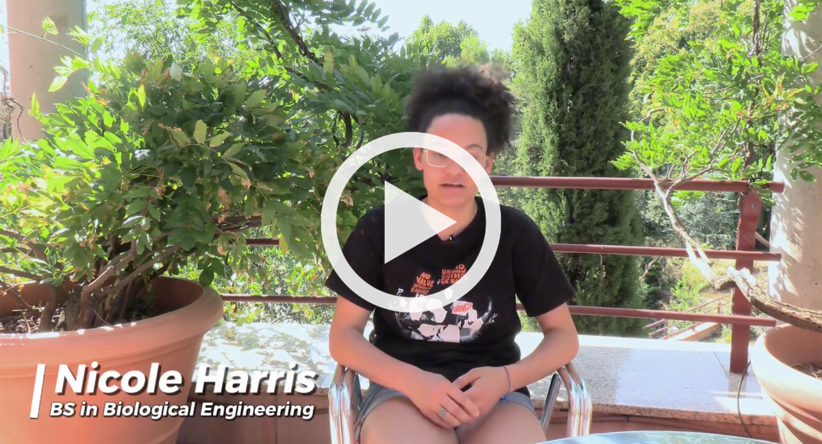 Video: Engineering plastic-eating microbes in Spain