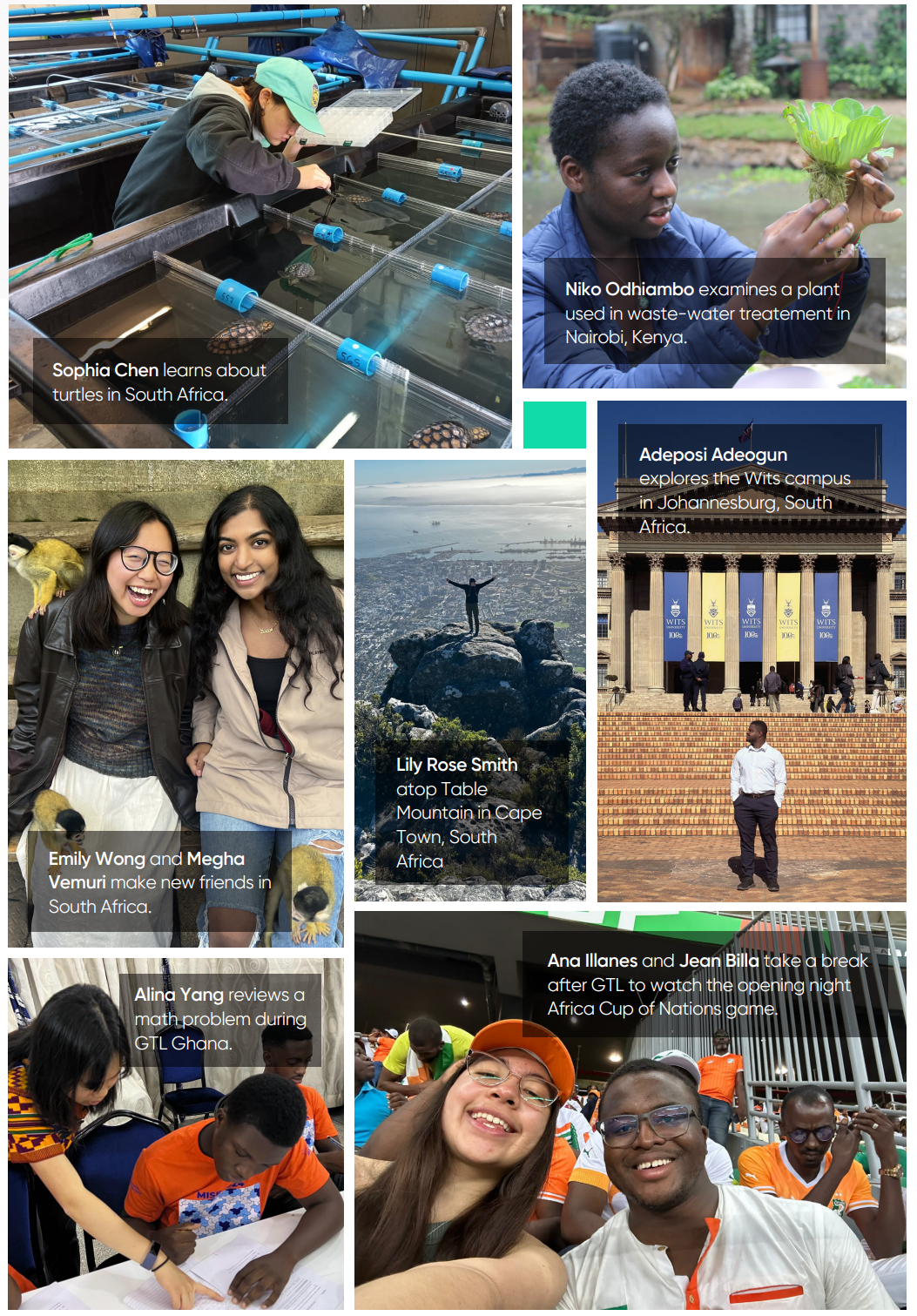 Collage of MIT-Africa students