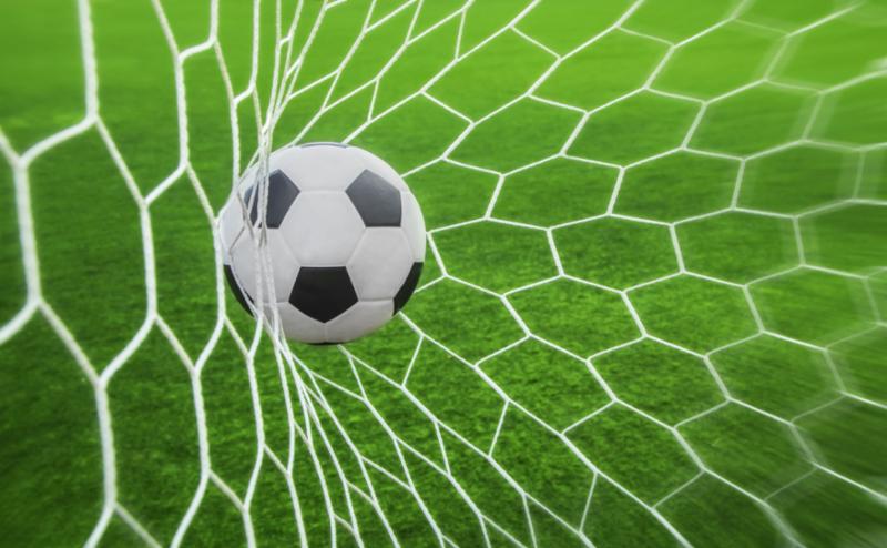 net_goal.jpg