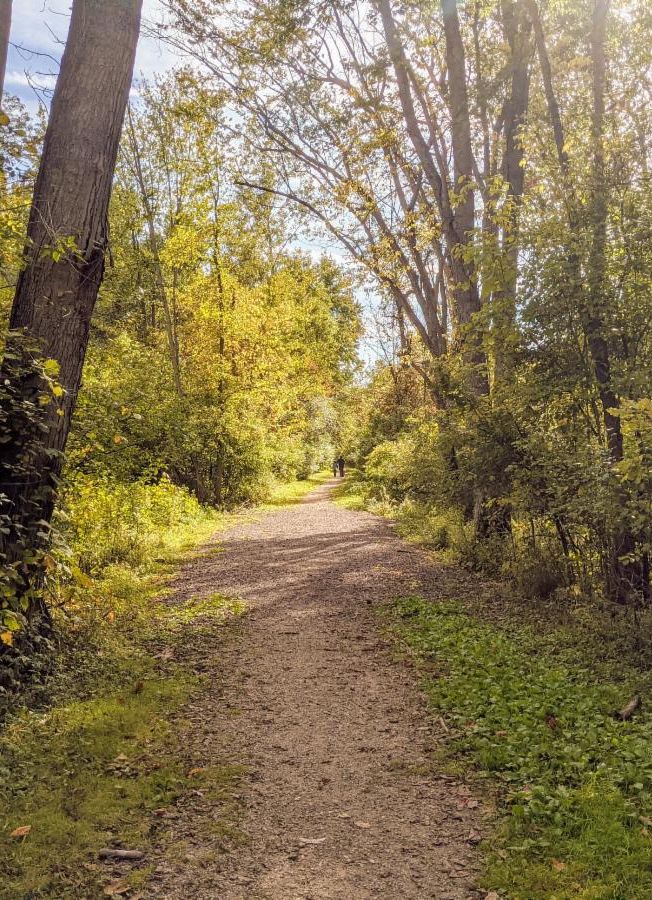 lamoreaux park fall