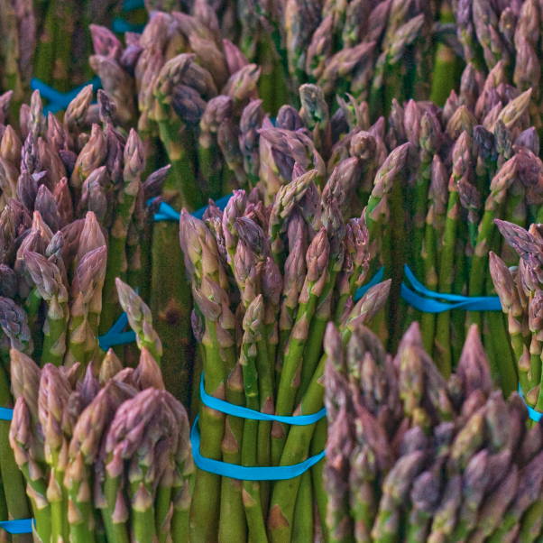 Asparagus