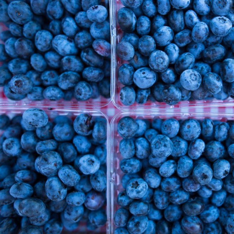 Michigan blueberries in quart containers