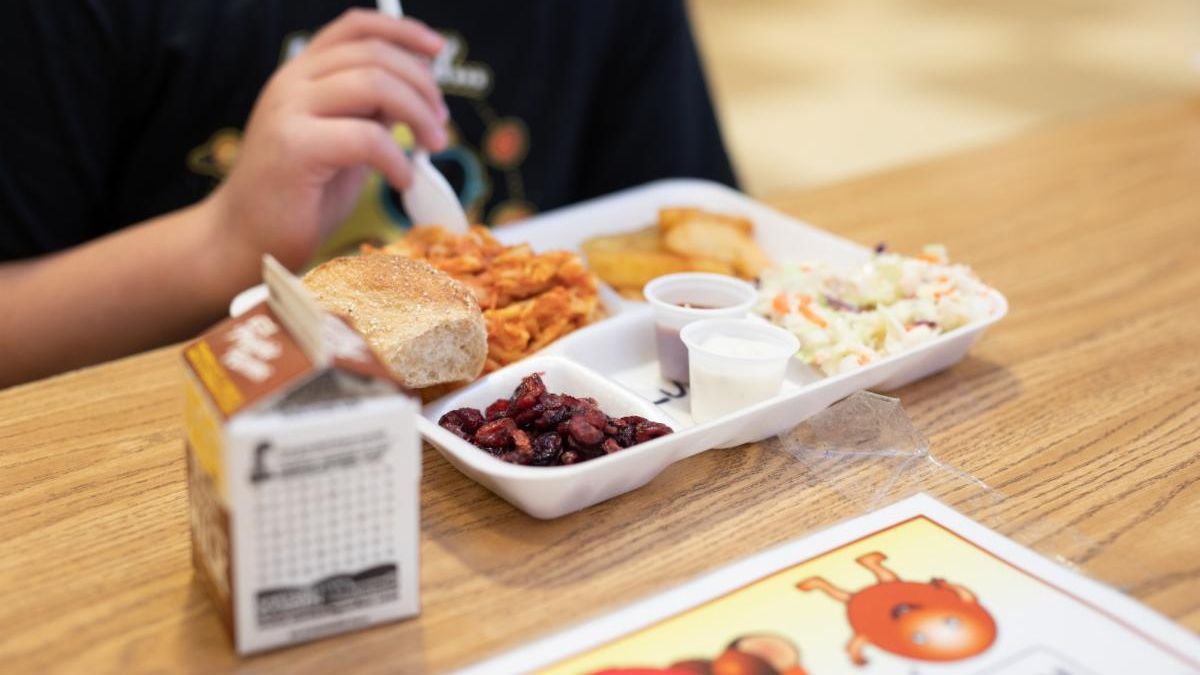 School meal with pasta and salad