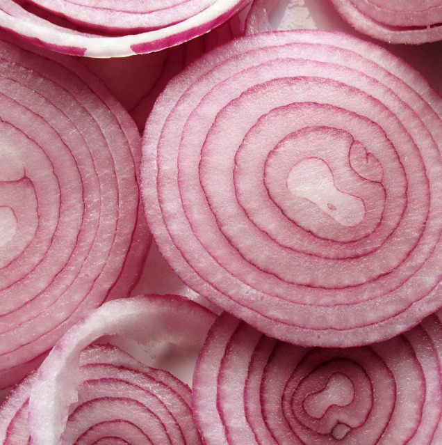 Red onions sliced into discs