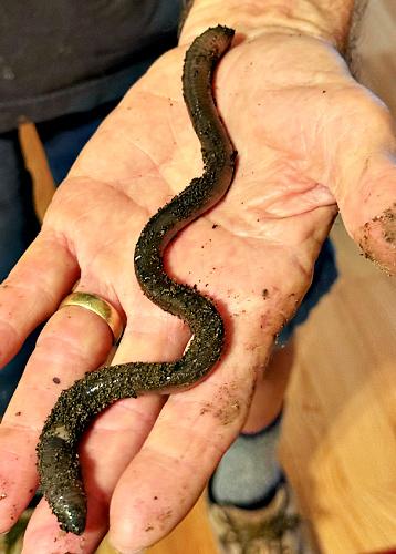 [Image: 8311c400-0f33-40d0-b480-bccaf77ec519.jpg?rdr=true]