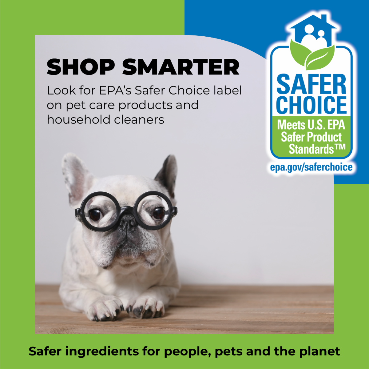 dog wearing glasses says to Shop Smarter and look for EPA's Safer Choice label to choose safer household products