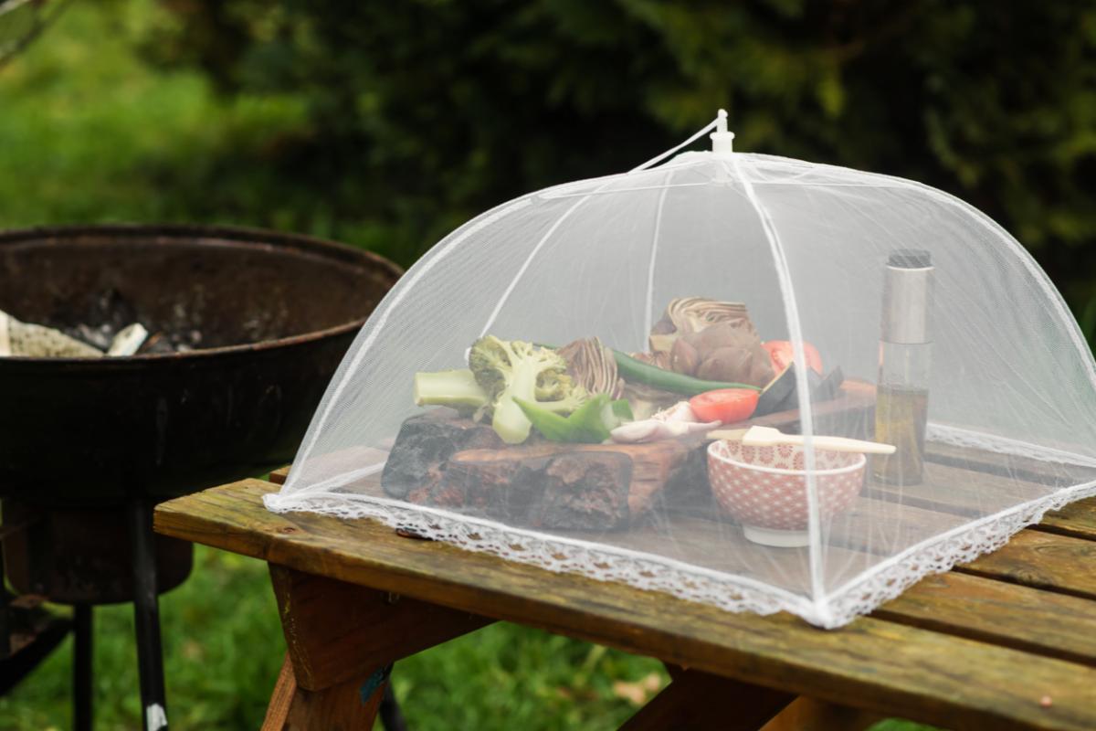 Artichokes, broccoli, onions, tomatoes and various vegetables are prepared for eating and grilling. Under the insect dome on the table