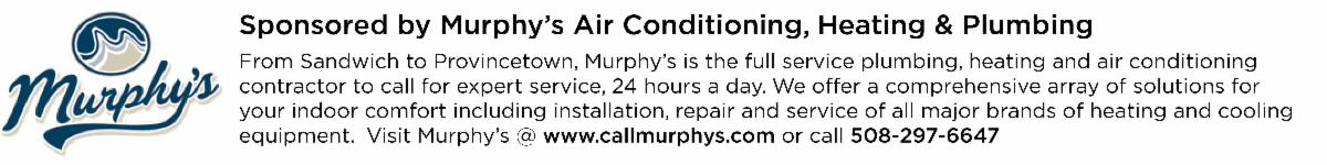 William Raveis Cape Cod & Nantucket - Virtual Fundraiser for The Damon ...