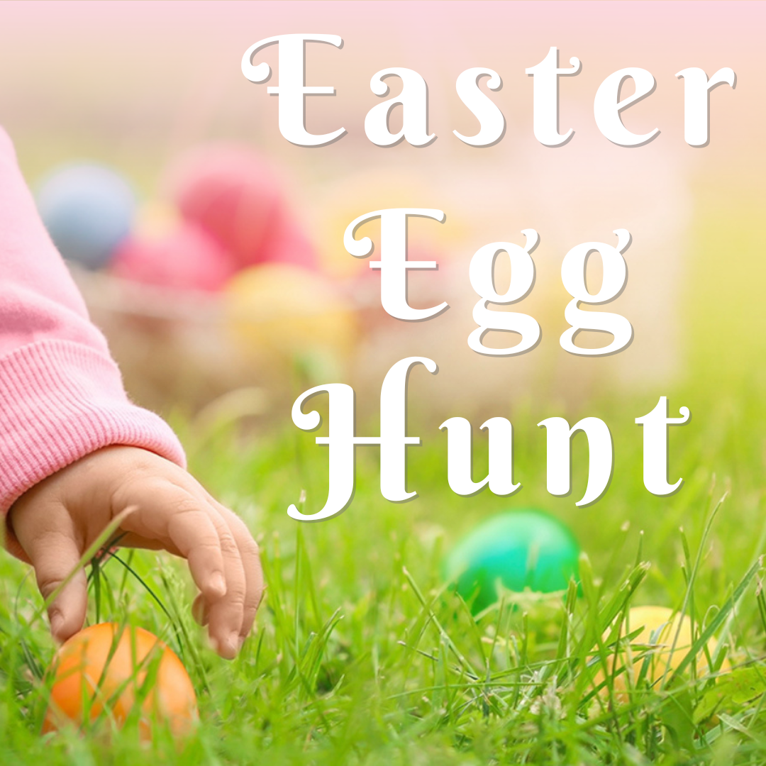 206bf6c3-210b-4df9-a83e-535c7dd5c22b image