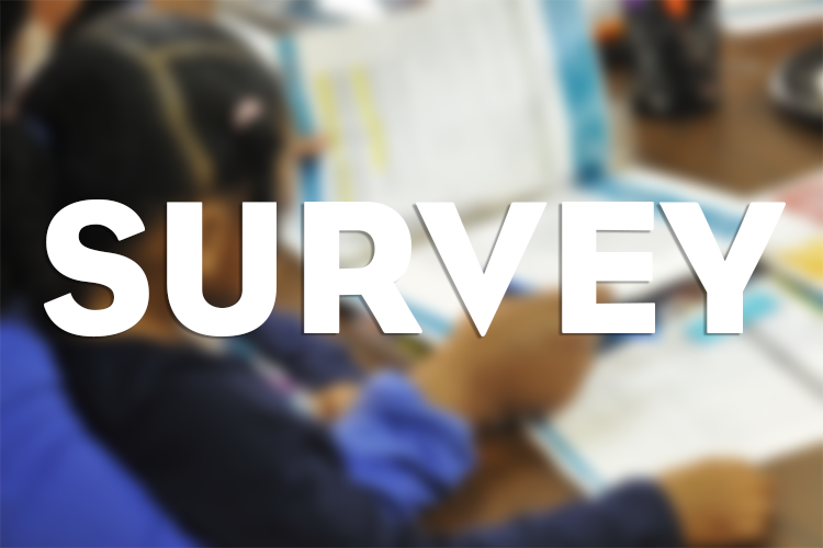 Action Item GCS Customer Service Standards Survey