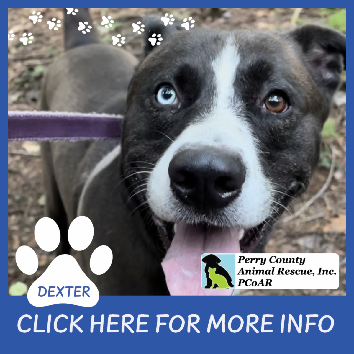 Jumbo Shrimp For Only 5/lb This Weekend!