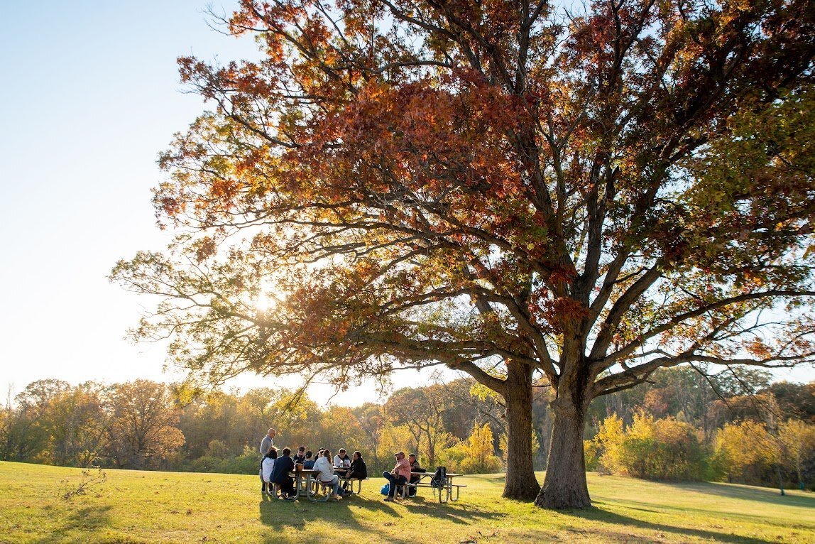 A group of people sits at picnic tables on sunny, grassy hill, under a towering oak tree with bright autumn leaves.