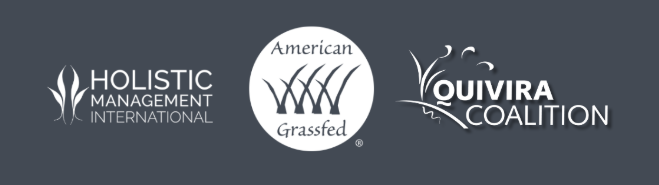 3 Logos
