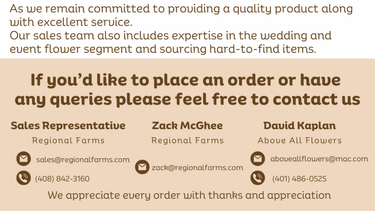 🍂🌼 Check Out These New Fall Items Dropping This Week. Autumn Greens and