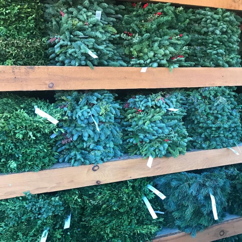 Pemberton Farms Newsletter