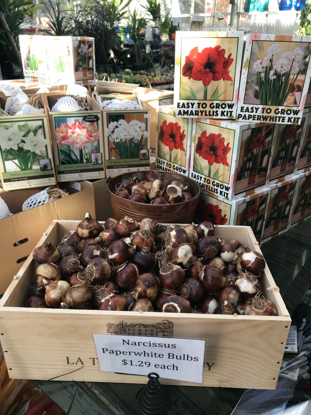 Pemberton Farms Newsletter