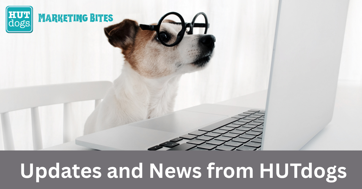 a dog in glasses looking at a computer screen