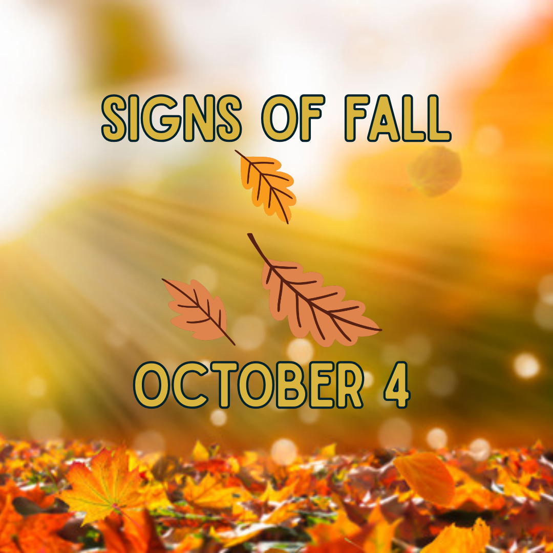 Signs_of_Autumn_p1.png