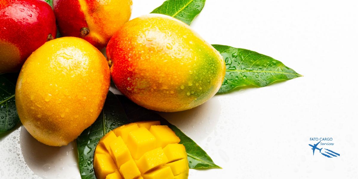 New Record during the 20212022 Mango Campaign!