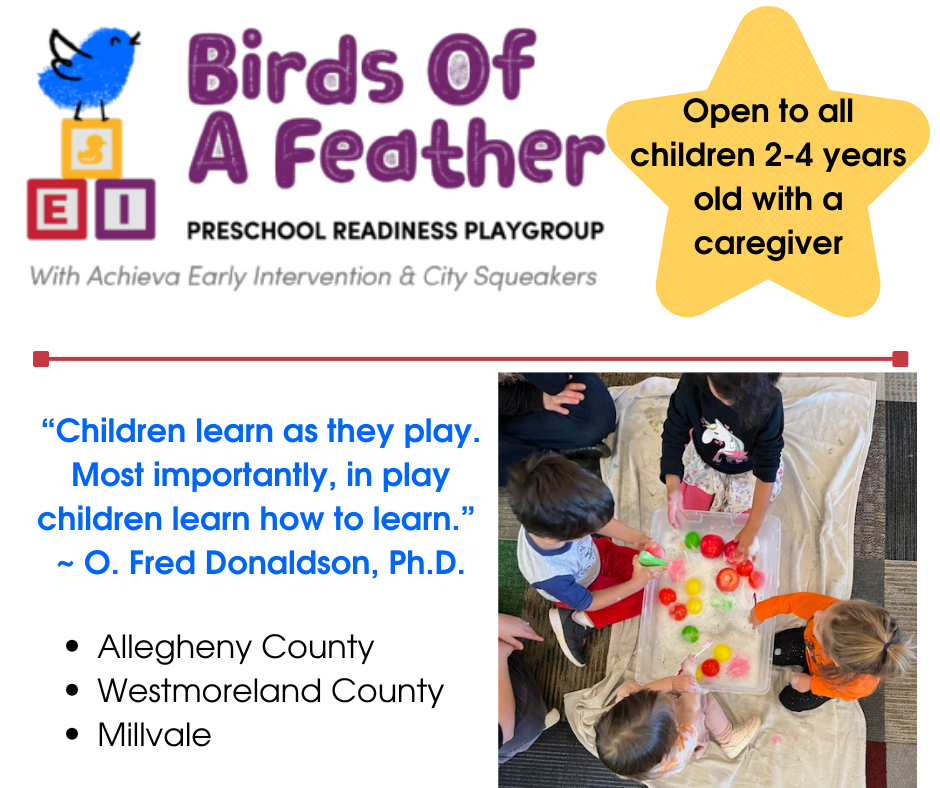 Birds of a feather flyer details in post