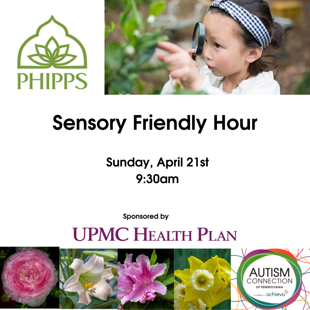 Phipps flyer details in text