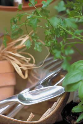 gardening-things.jpg