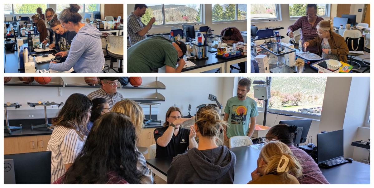 collage of strobe professional development 