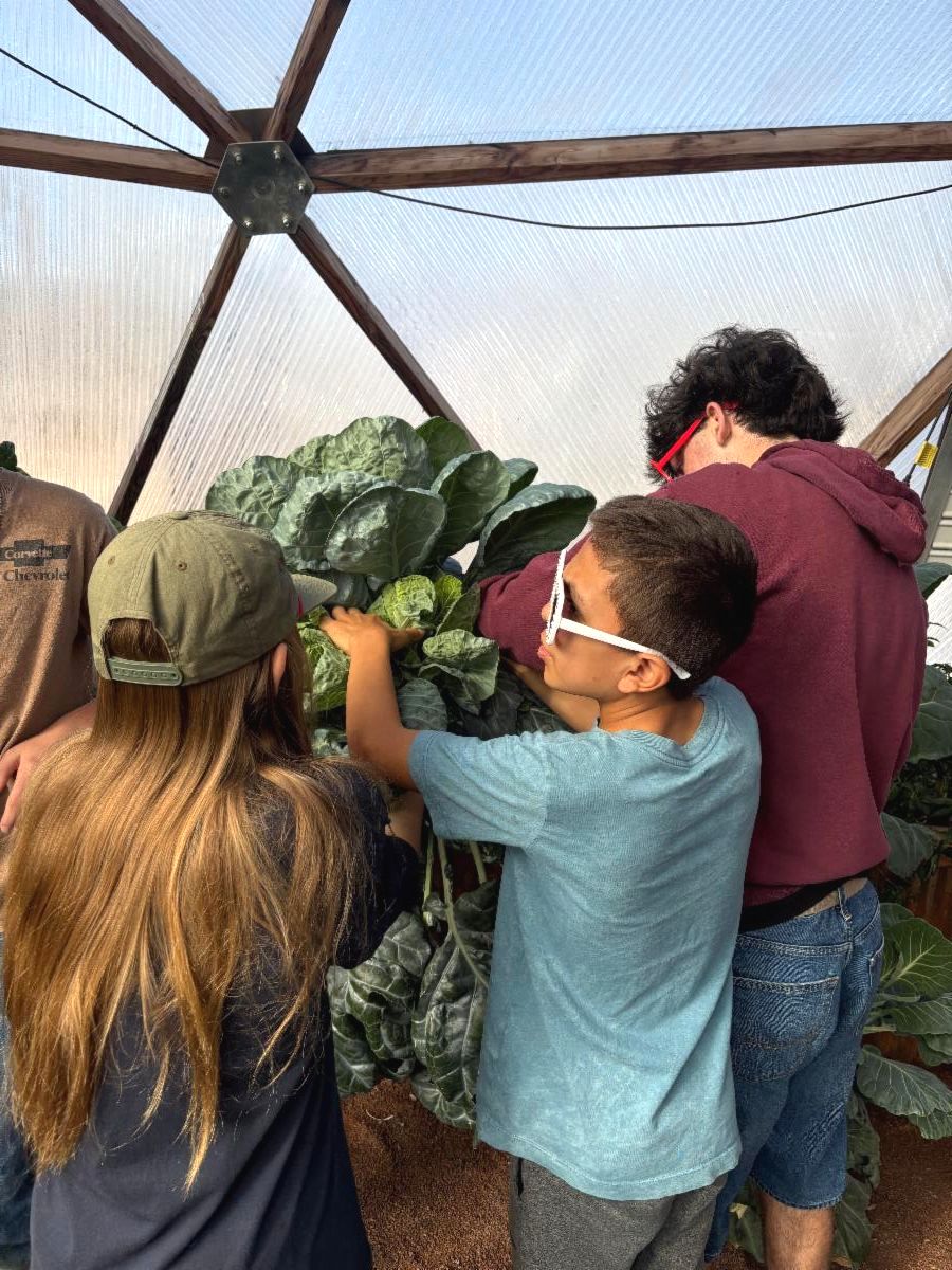 Middle schoolers look at plants in the Grow Dome