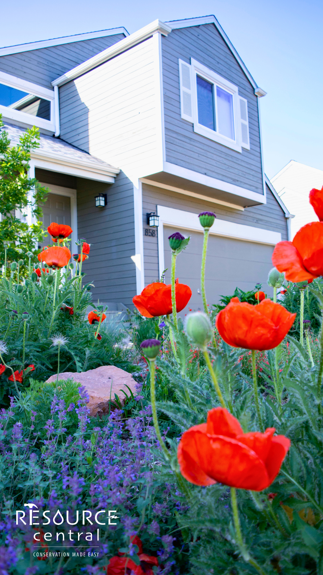 Blue house with colorful flowers