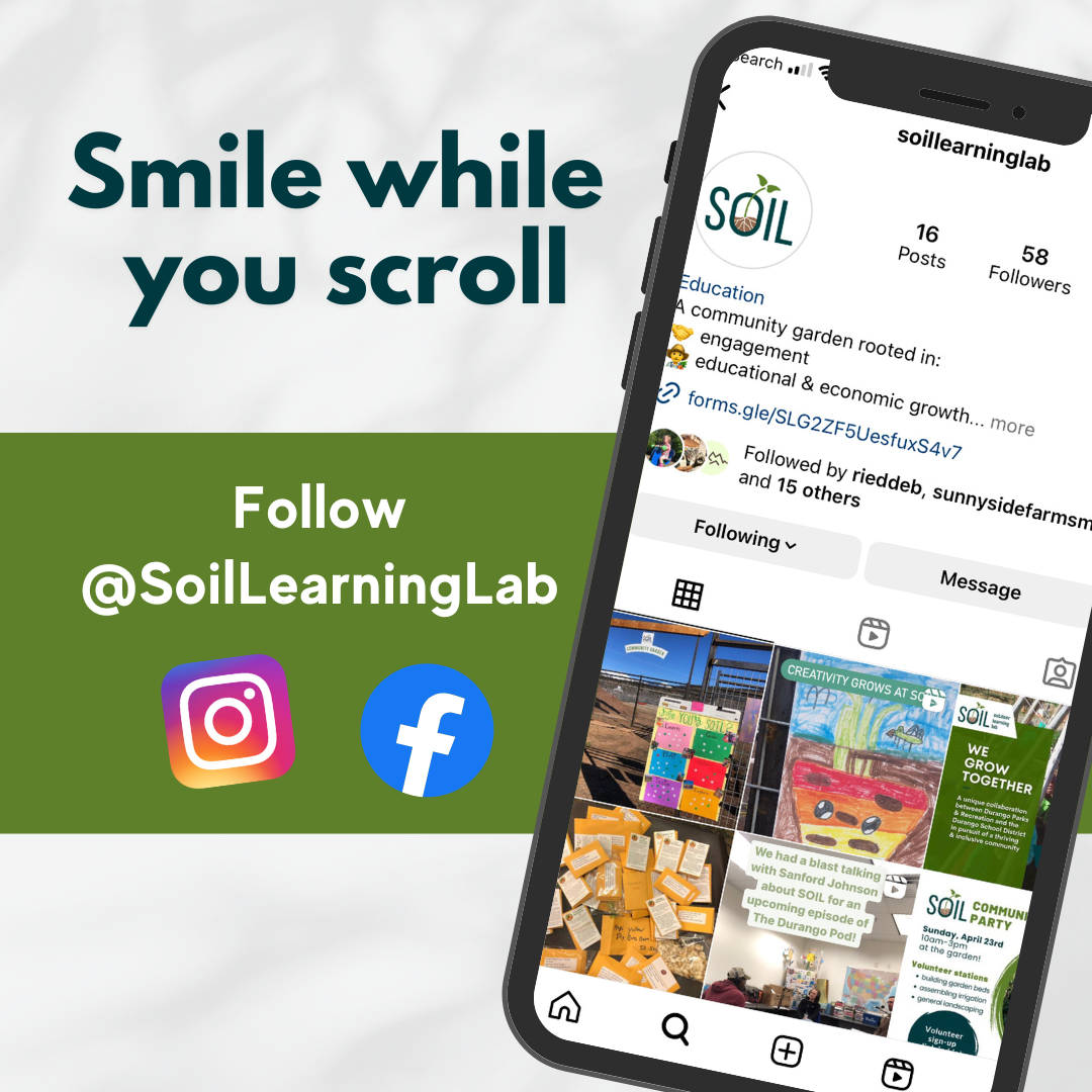 image of instagram open on a phone with the words smile while you scroll