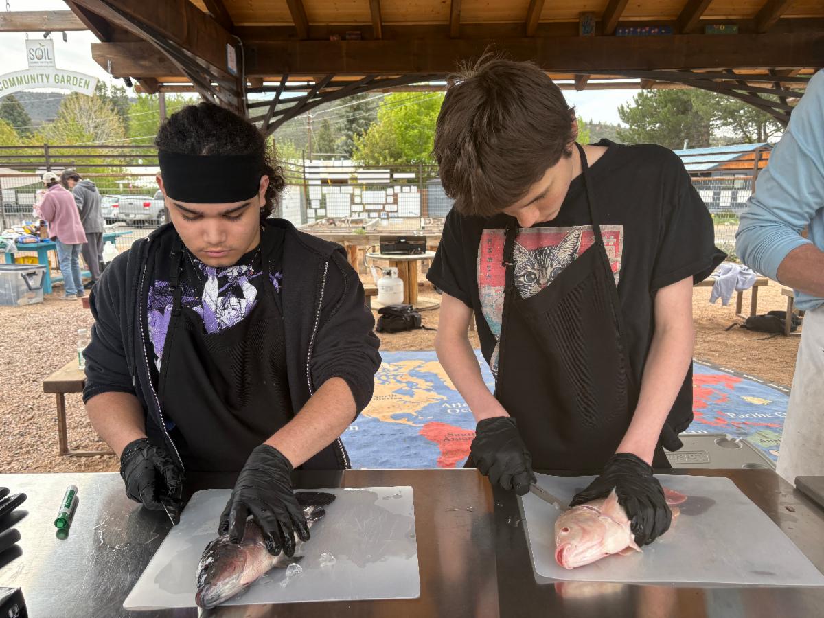 Two students fillet fish under the pavilion