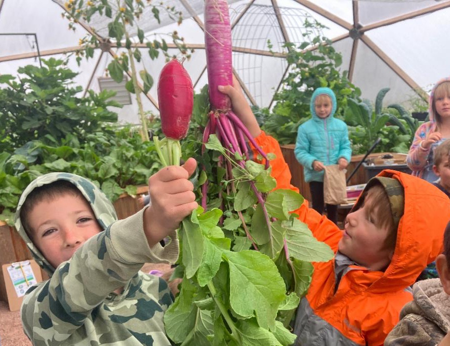 Students hold up radishes in the grow dome