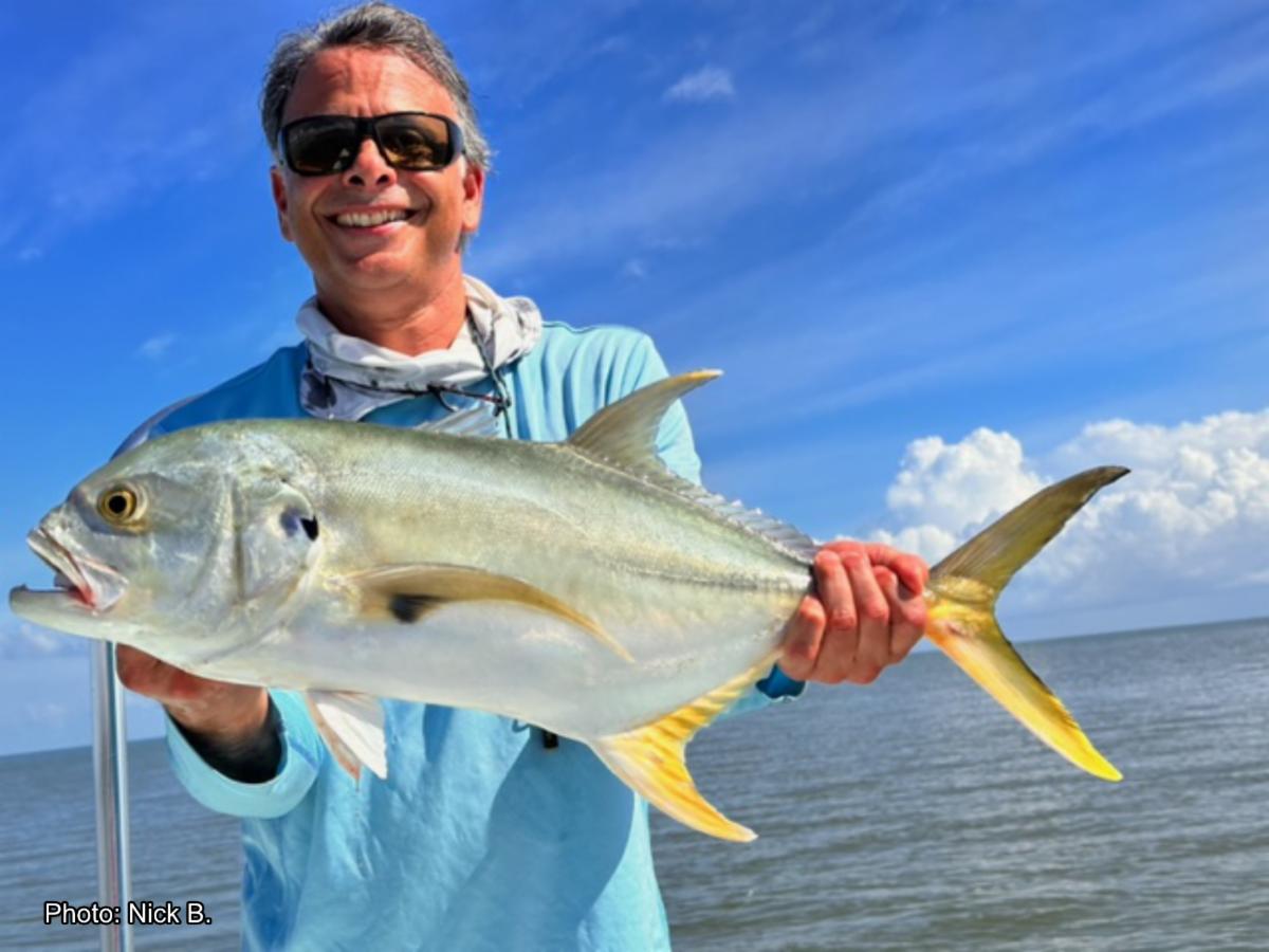 Fish Tales ~ Wrapping up 2022