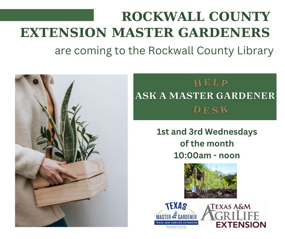 November 2024 at Rockwall County Library