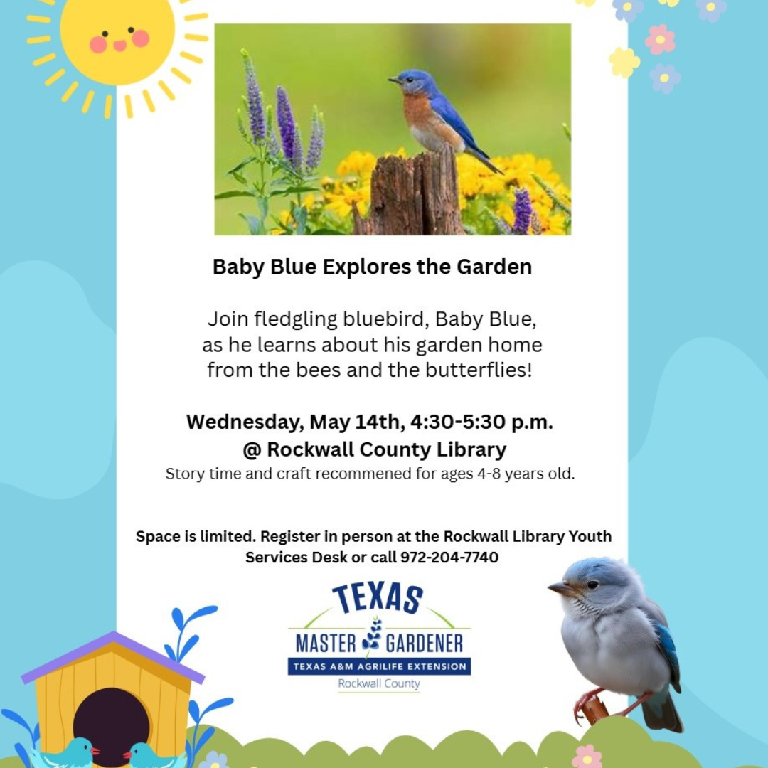 May 2025 at Rockwall County Library