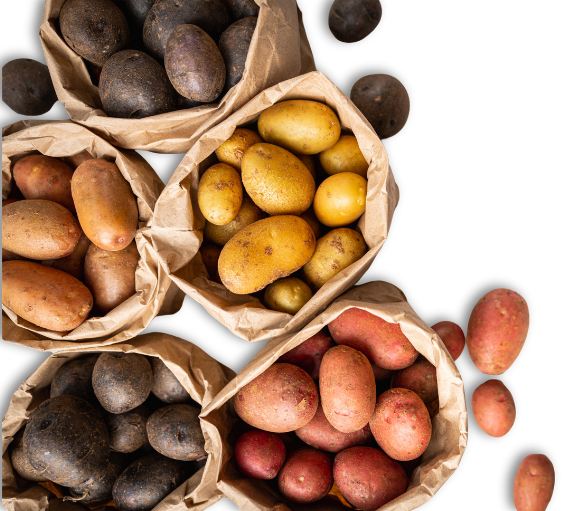 Different varieties of potatoes are displayed in brown paper bags.