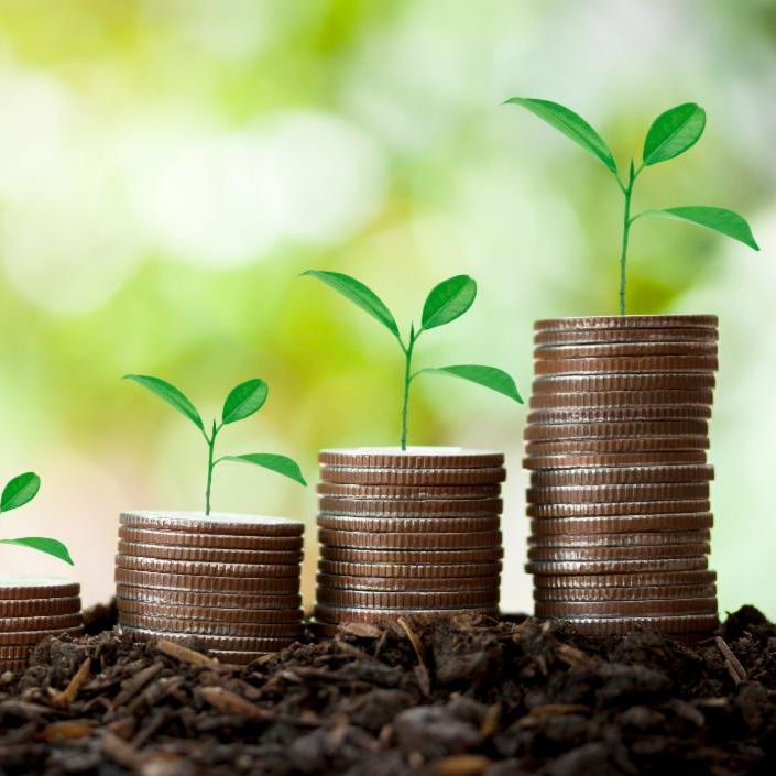 profit, grow business, scale