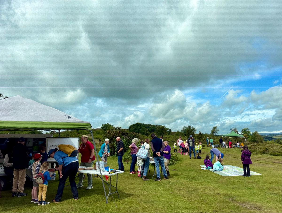 Nature Festival