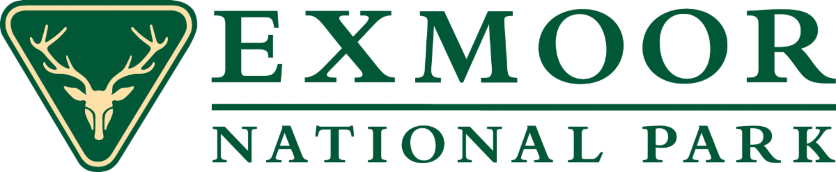 PNG  file (transparent background)